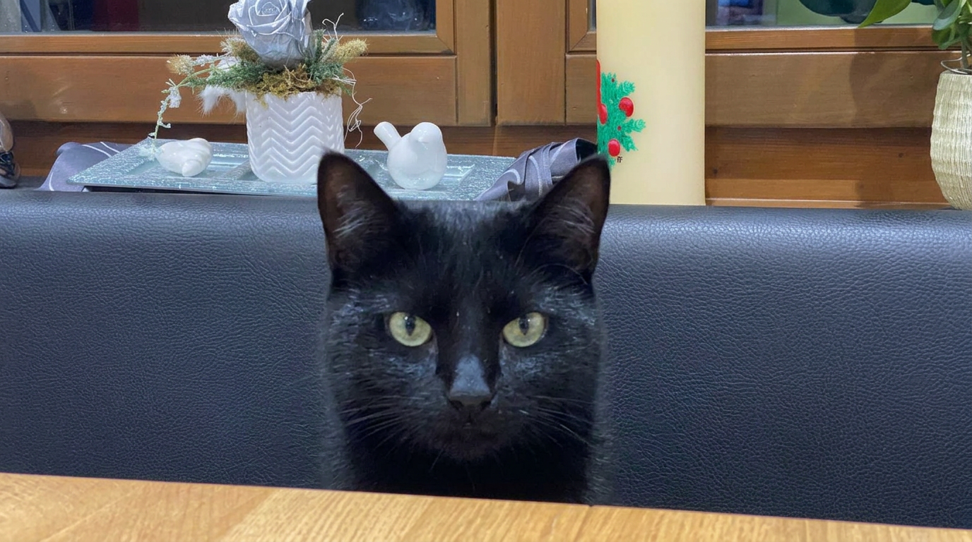 Salem · Chief Taste Officer